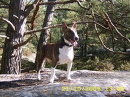 angie_20211129_1993651648